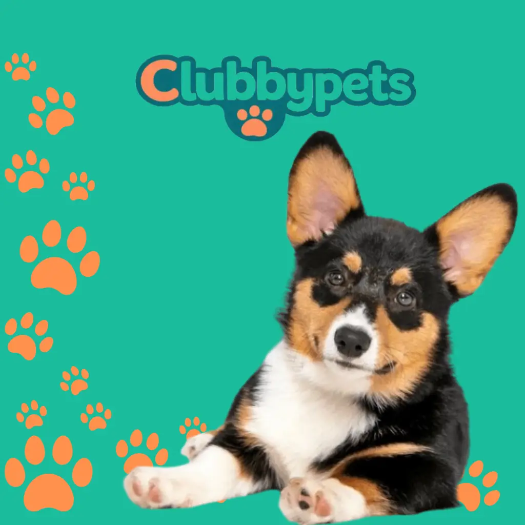 diseño sin título(6)